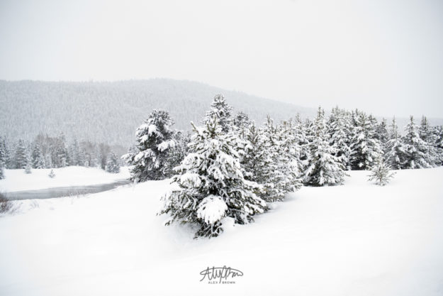 Alex-Brown-Simple-Winter-Photography-Snowy-Landscape